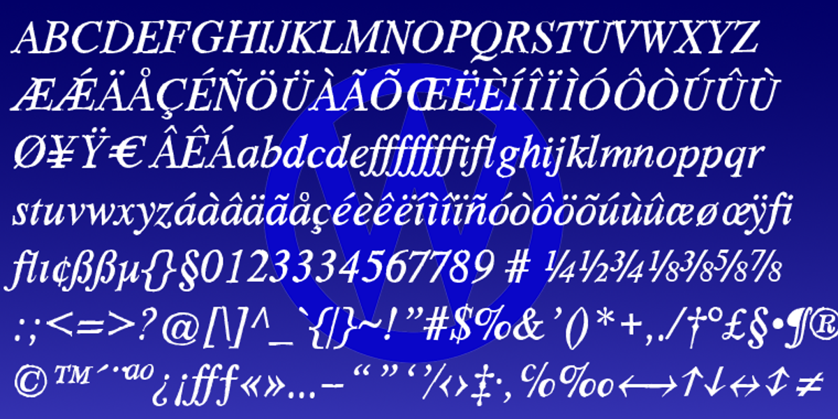 HardTimes, a Serif Font by Wiescher-Design (Photo 4 of 4)