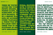 Rootzin, a Slab Serif Font by Typogama (Thumbnail 10 of 15)