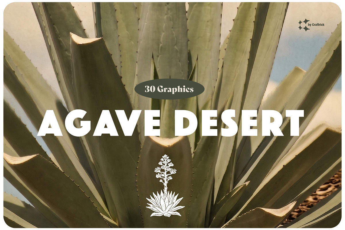Agave & Tequila Vintage Vectors, an Object Graphic by Craftrick (Photo 1 of 9)