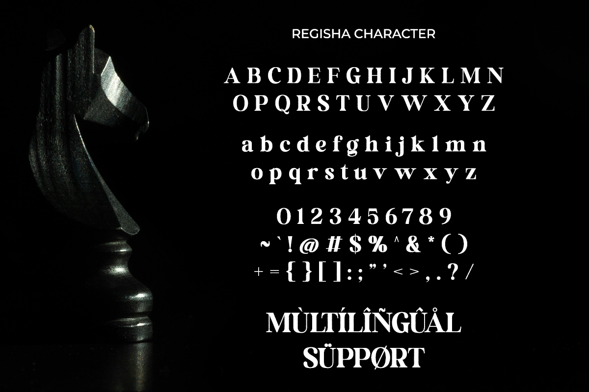 Regisha | Modern Serif, a Serif Font by Madjack.font (Photo 10 of 10)