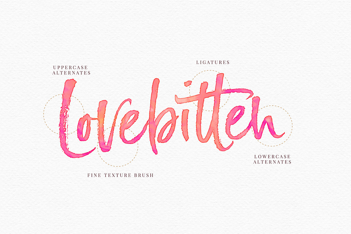 Just Heavenly Brush Font & Extras, a Script Font by Nicky Laatz (Photo 10 of 12)