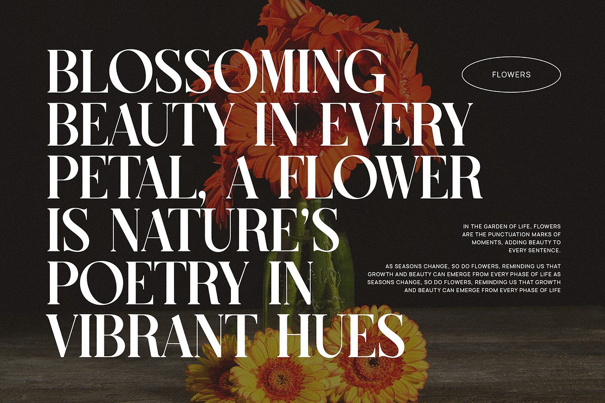 Rudge - Serif Font, a Serif Font by Luna Shop (Photo 4 of 6)