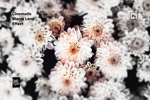 Cinematic Macro Lens Photo Effects