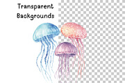 Cute Sea Life Clipart, an Illustration by PassionPNGcreation (Thumbnail 7 of 13)