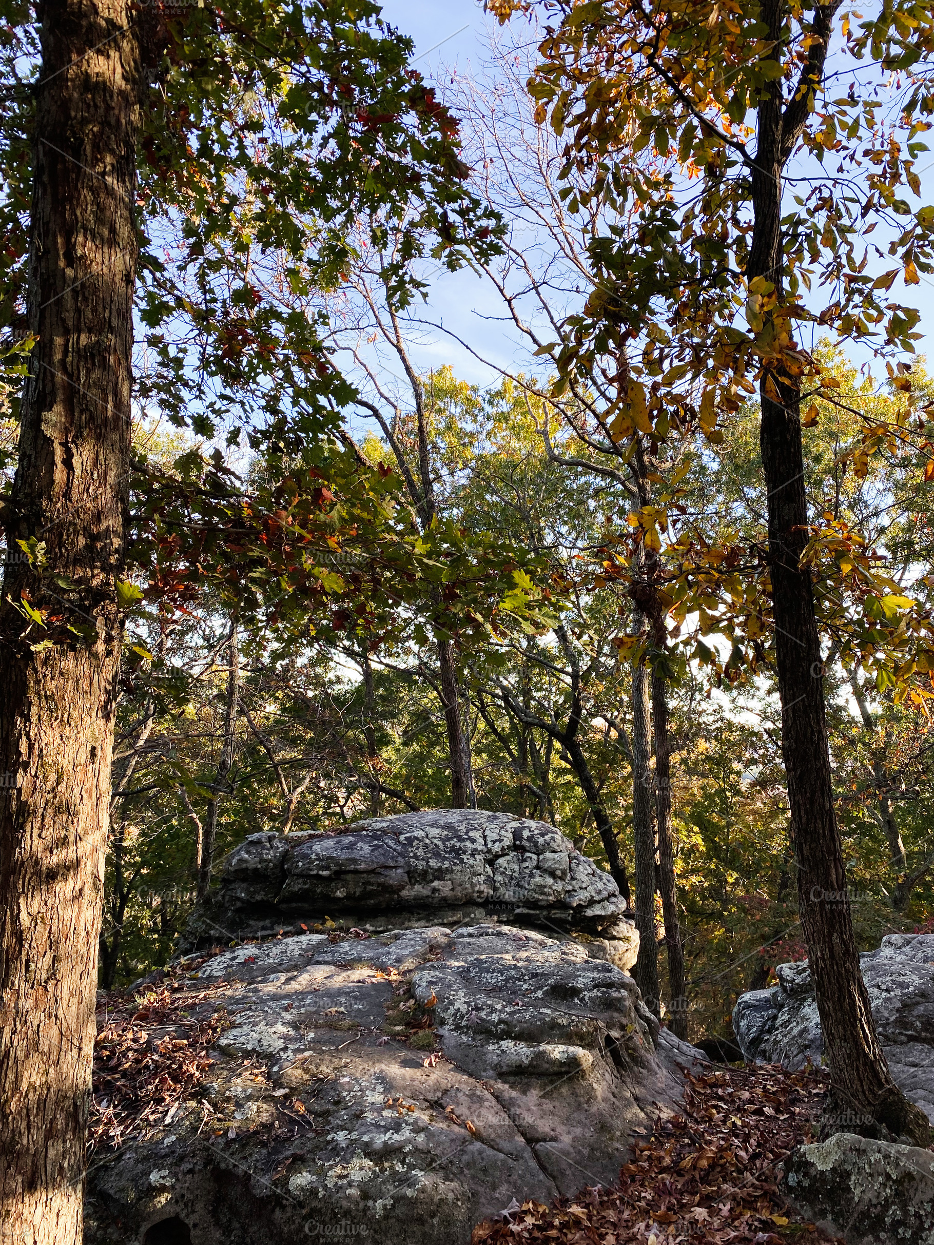 Autumn forest and rock outcrop at Garden of the Gods in Colorado Springs, Color, a Nature Photo by AS photostudio