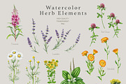 Herbal Apothecary Brand Kit, a Healthcare Illustration by AnitaPol (Thumbnail 3 of 18)