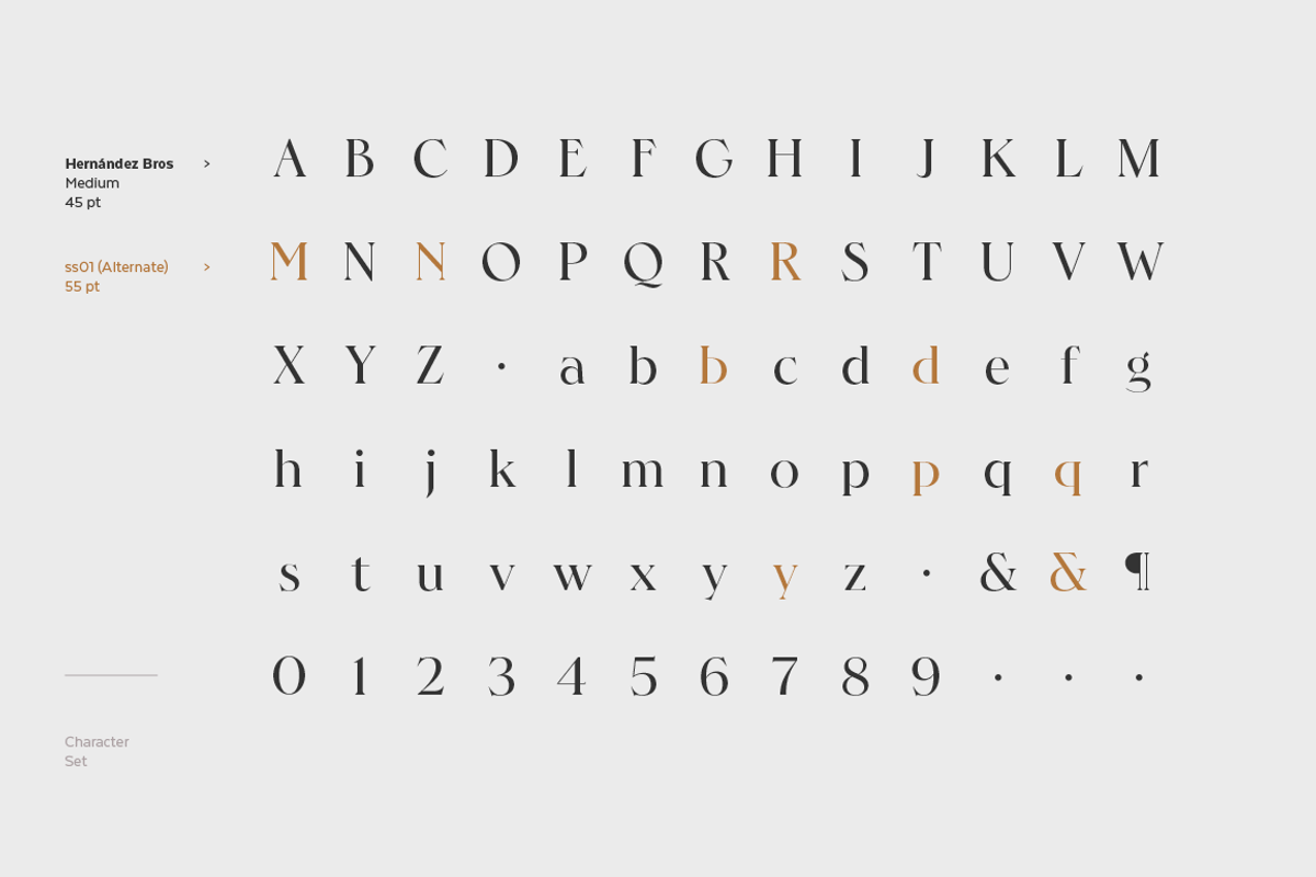 Hernandez Bros, a Serif Font by Latinotype (Photo 15 of 15)