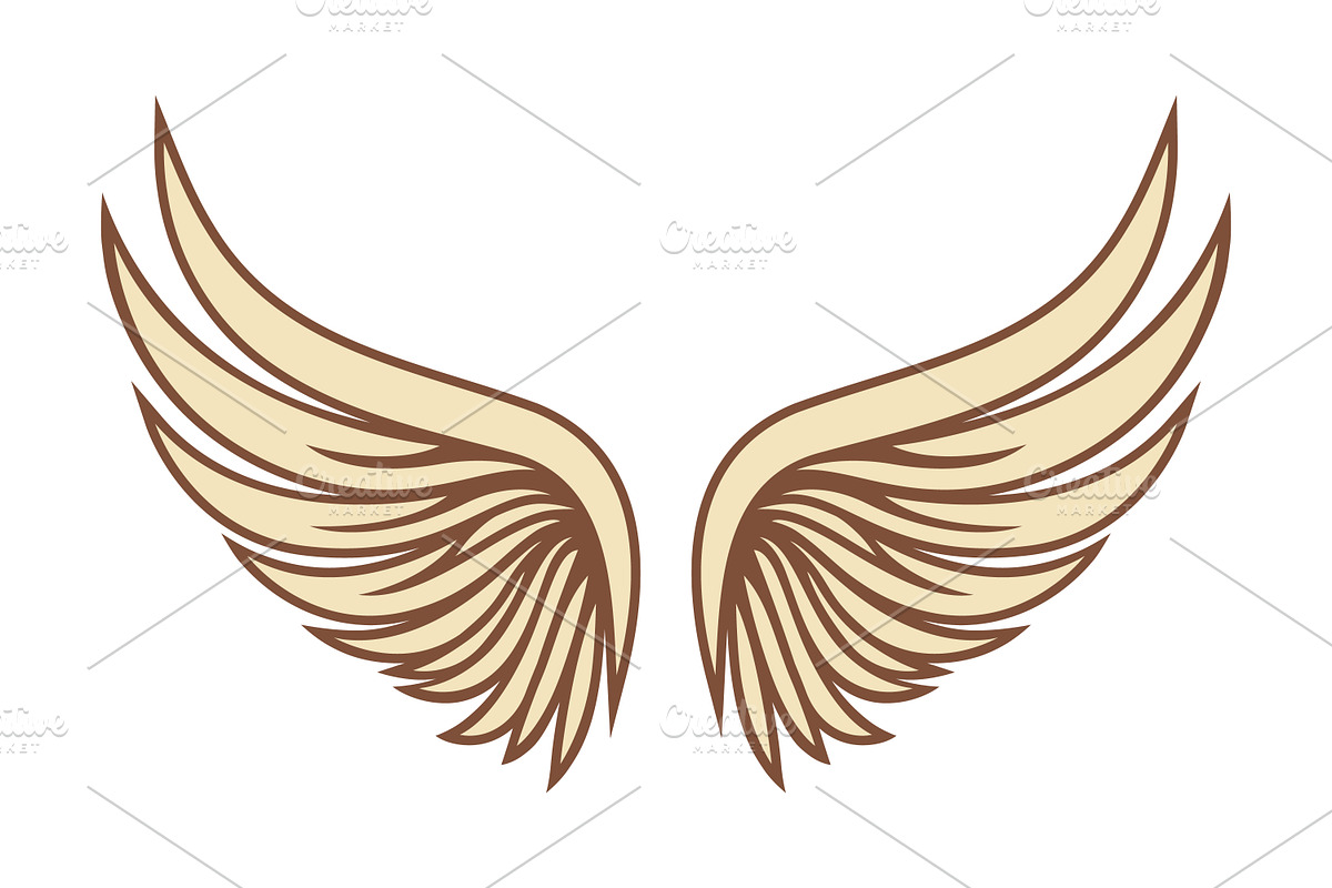 Angel Wings Vector Set, a Decorative Illustration by Gomolach (Photo 3 of 3)