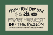 ST Westmark - Rough Wildwest Font, a Sans Serif Font by Type it Easy (Thumbnail 9 of 9)