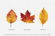 Autumn/Fall Watercolor Illustrations, an Illustration by Jeanette Pidi Design (Thumbnail 3 of 5)