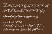 Rafaela Belaria Beautiful Script, a Script Font by Letterena Studios Script (Thumbnail 13 of 15)