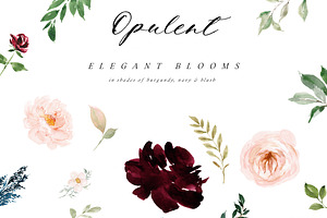 Opulent - Classic Watercolor Florals