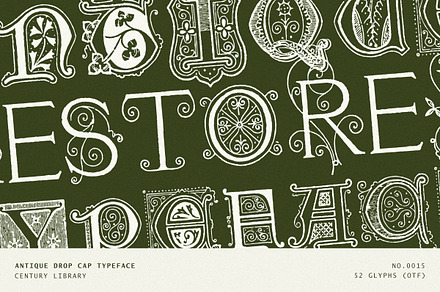 Ornate Botanical Drop Cap Font No15
