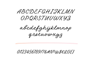 Austen Script, a Script Font by tanyacherkiz (Thumbnail 6 of 7)