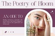 Palgrace Modern Serif Typeface Font, a Serif Font by Vadovastd (Thumbnail 7 of 11)
