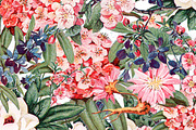 Vintage Floral Illustrations, an Illustration by Catty Studio (Thumbnail 3 of 3)
