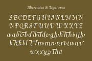 Luxury Goldish – Elegant Serif Font, a Serif Font by MERCI STUDIO (Thumbnail 8 of 8)