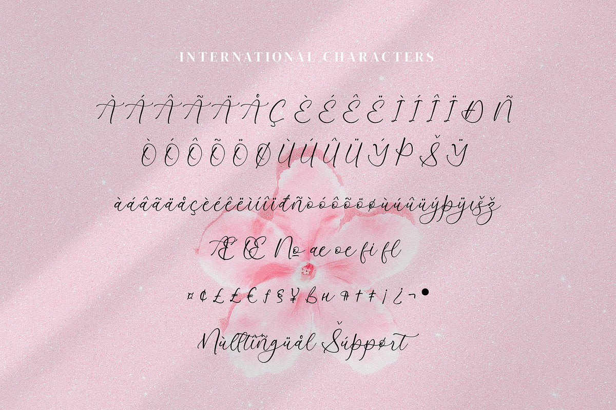 Azelly Vellyne, a Script Font by Integritype Studio (Photo 10 of 15)