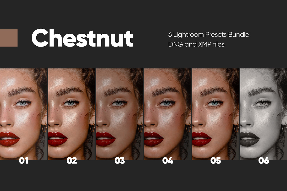 6 CHESTNUT LIGHTROOM PRESETS, a Preset Add-On by Hot Buns Presets (Photo 4 of 10)
