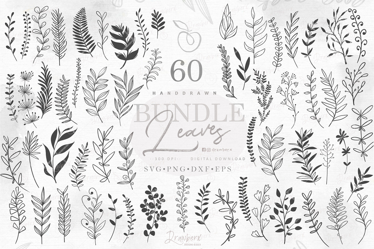 Leaf Branch Border Svg Bundle 013, an Illustration by Drawberx (Photo 1 of 8)