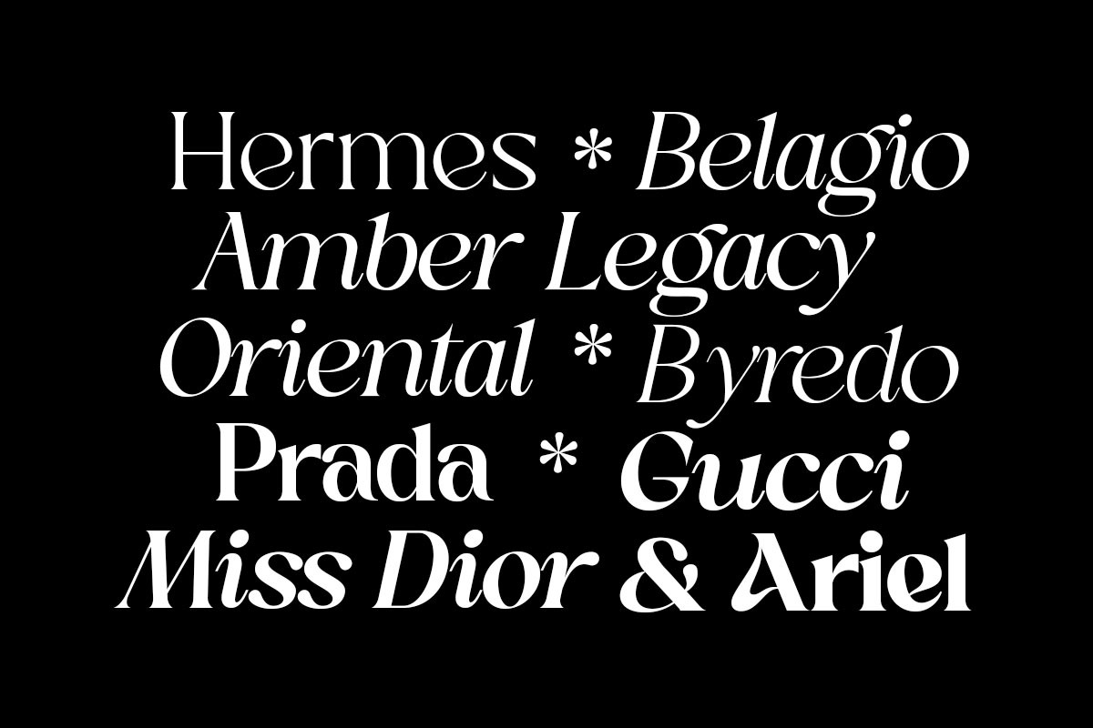 Sakem Elegance Serif Family (20 Font, a Font by Madjack.font (Photo 13 of 20)