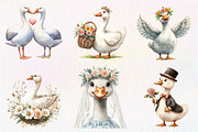 Wedding Goose Clipart, an Illustration by CreationArt (Thumbnail 7 of 9)
