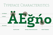 Grenale Slab, a Slab Serif Font by insigne (Thumbnail 3 of 4)