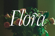 Dark Paradise - Modern Serif Font, a Serif Font by Tropical Type (Thumbnail 11 of 11)