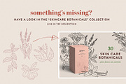Fragrance Botanicals | 30 designs, an Illustration by amber&ink (Thumbnail 7 of 8)