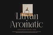 Bidant Elegant Serif Font, a Serif Font by Graphicxell (Thumbnail 4 of 8)