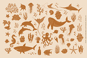 Sea Life Collection, an Animal Illustration by Nadezhda Mikhailova (Thumbnail 15 of 18)