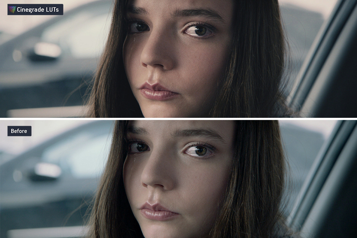 CineGrades LUTs v.5 – Cinematic LUTs, a Preset Add-On by CineMart (Photo 7 of 10)