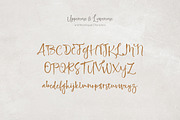 Highland Script +Extra, a Script Font by Areatype (Thumbnail 9 of 10)