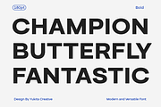 Guton Sans Serif Family, a Sans Serif Font by Yukita Creative (Thumbnail 5 of 12)