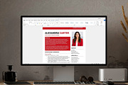 Professional Resume Template, a Resume Template by Anjum Ilyas (Thumbnail 6 of 6)