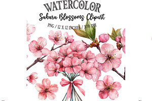 Watercolor Sakura Blossoms Clipart, an Illustration by Designking