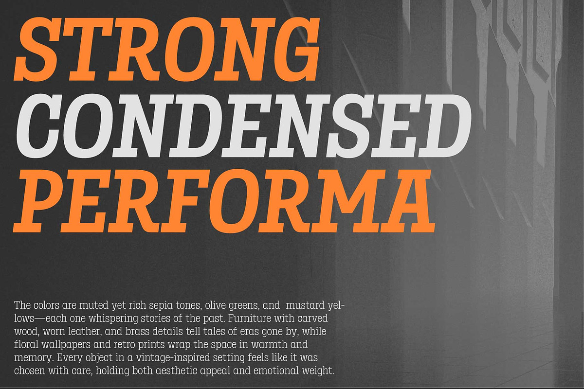 Birdwood; Condensed Slab Serif, a Slab Serif Font by Eko Bimantara (Photo 11 of 13)