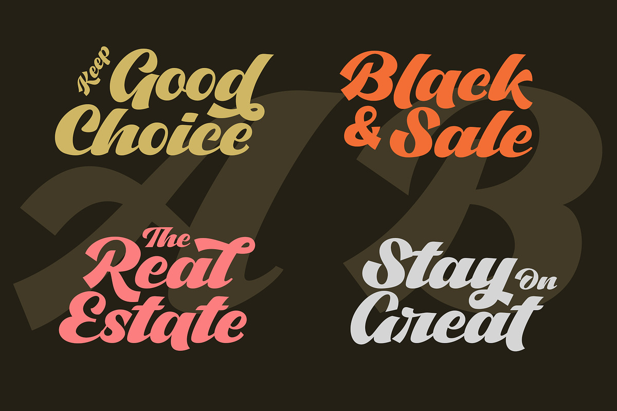 Vintage Classic - Bold Script Font, a Script Font by Myn Type (Photo 5 of 10)