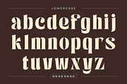 Quelia Vintage - Branding Logo Font, a Serif Font by Nirmana Visual (Thumbnail 7 of 15)