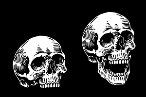 Skull Study - Flash