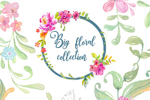 Watercolor floral collection