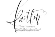 12 iPad Brushes (For Procreate), a Brush Add-On by Callie Rian & Co. (Thumbnail 4 of 13)