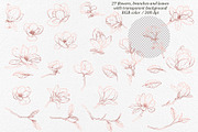Magnolia Graphic Collection, a Decorative Illustration by Elly Studio (Thumbnail 12 of 14)
