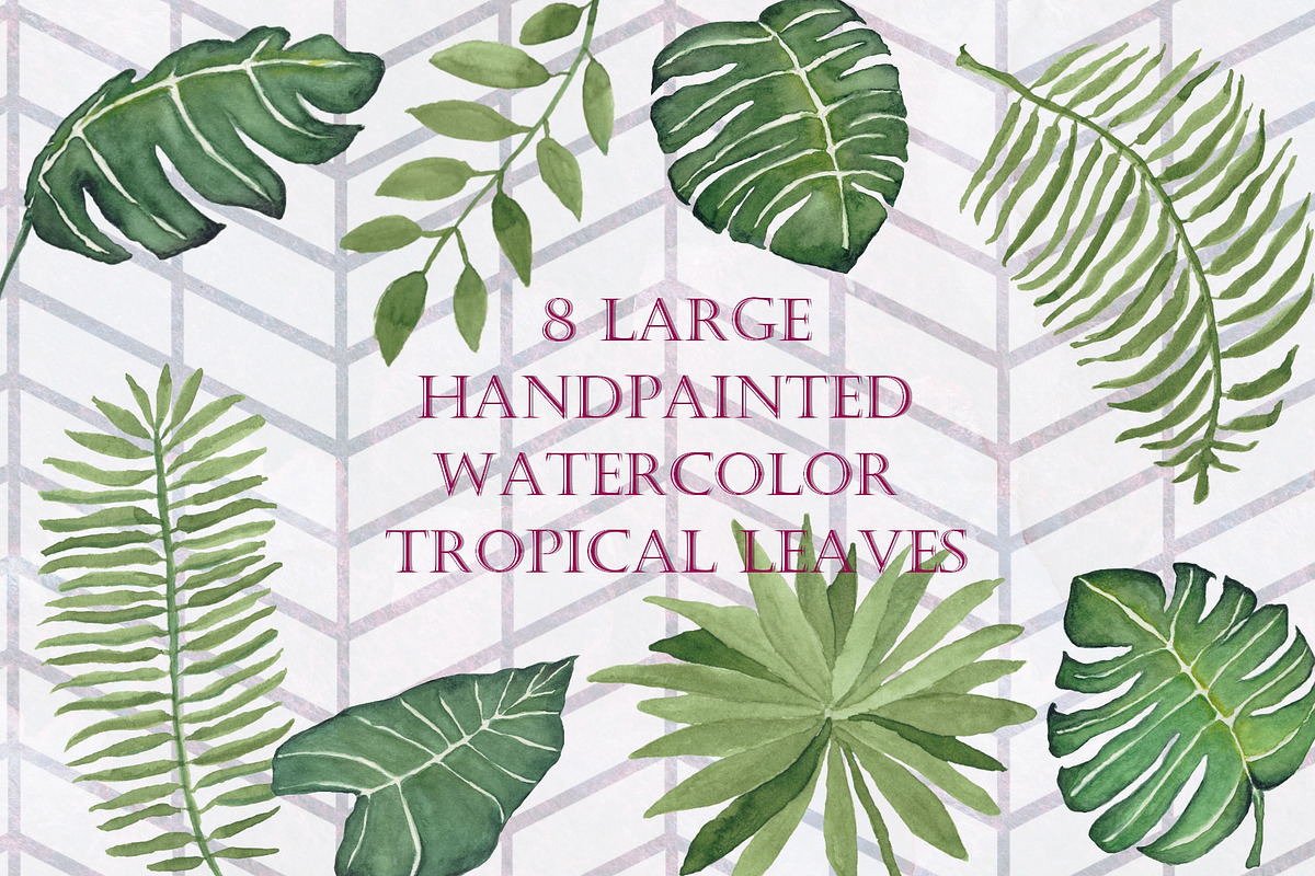 8 Large Watercolor Tropical Leaves, an Illustration by Tubigan Art