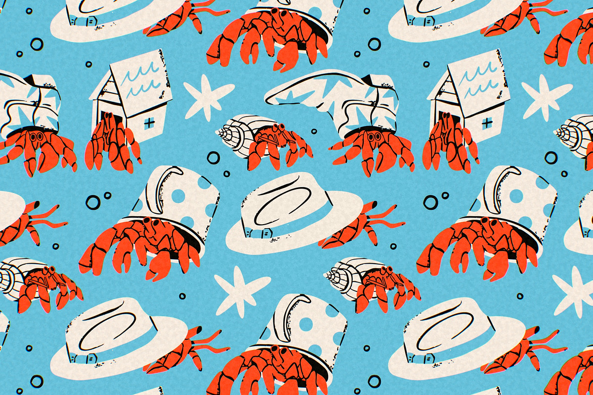 Hermit crab, an Animal Illustration by Twisted Tail (Photo 2 of 5)