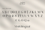 Aiglon Drame - Modern Ligature Serif, a Serif Font by erlosDESIGN (Thumbnail 13 of 13)