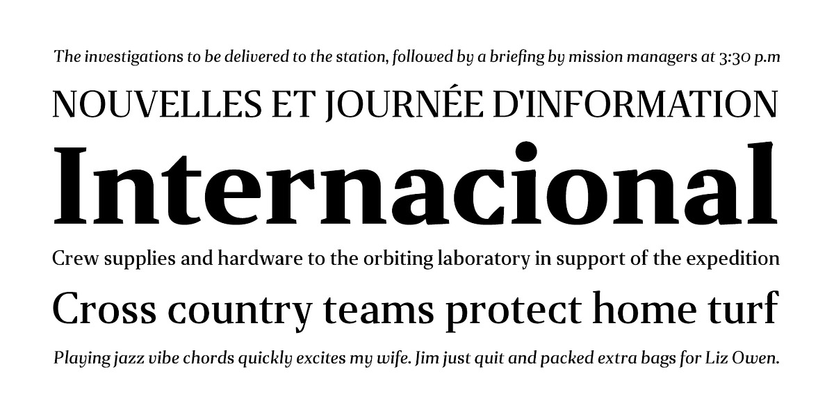 Gazeta, a Serif Font by Vanarchiv (Photo 2 of 7)