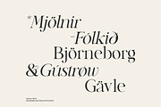 Quincy Serif, a Serif Font by dealitastudio (Thumbnail 4 of 13)