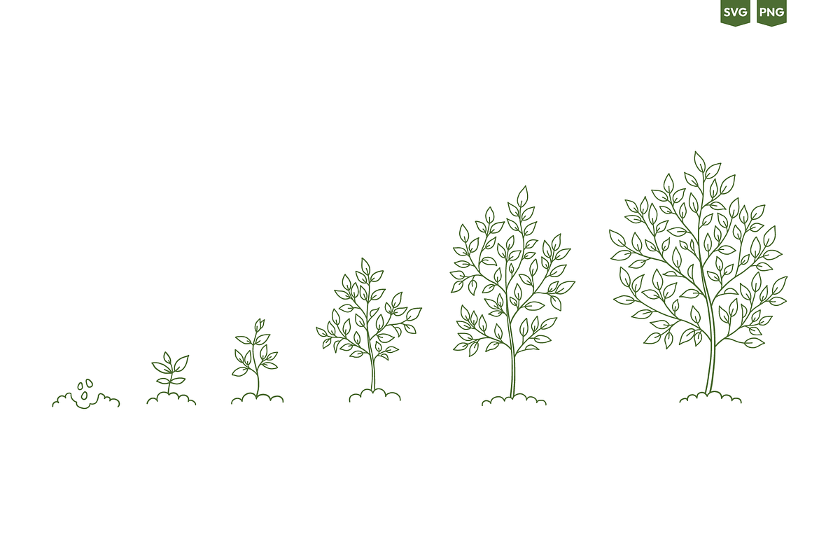 Tree Growth Stages, an Object Illustration by Ilia Design (Photo 1 of 6)