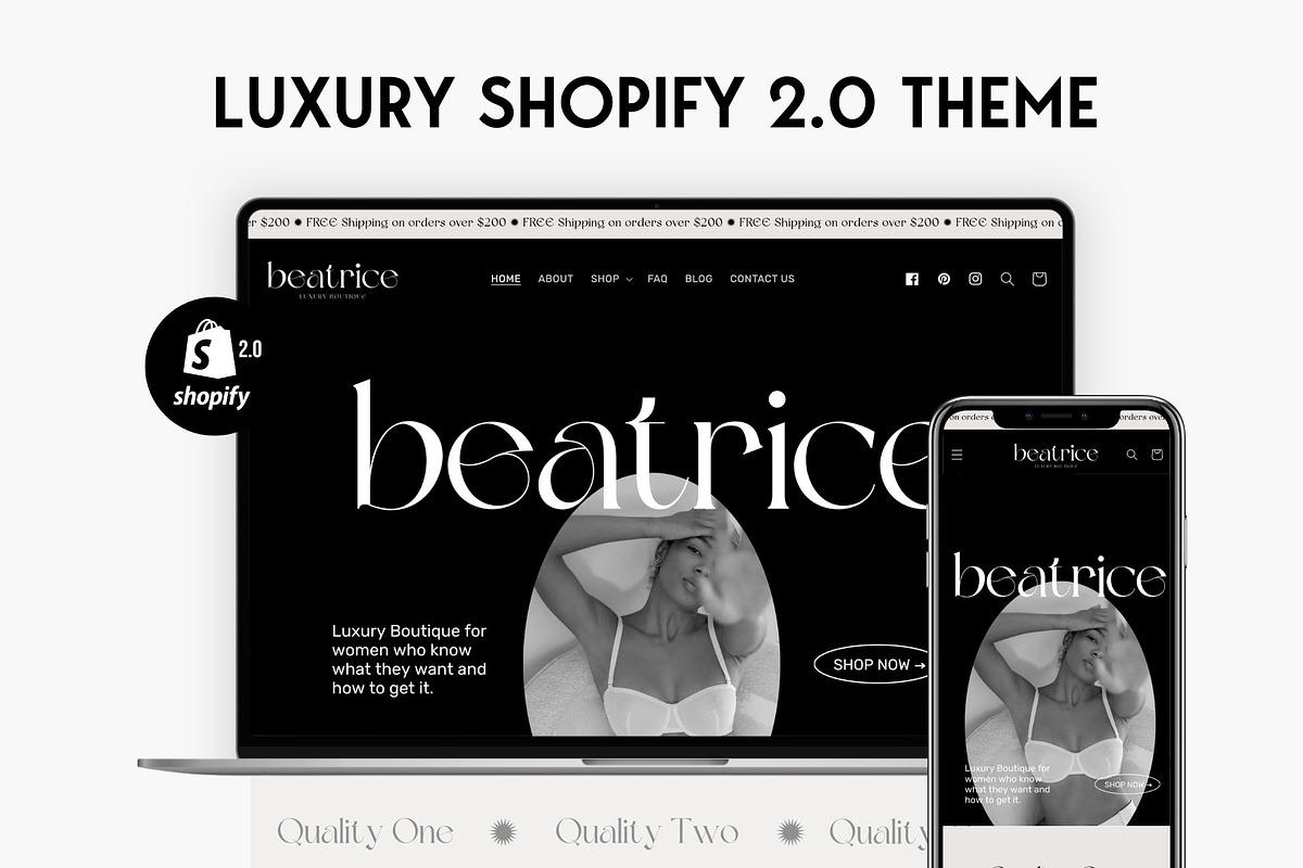Beatrice Noir - Luxury Shopify Theme, a Shopify Template by Studio Zash (Photo 1 of 13)